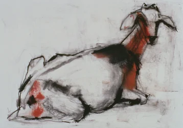 Sittande get, 1998 (conte och kol på papper)