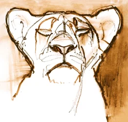 Sepia Cub, 2020