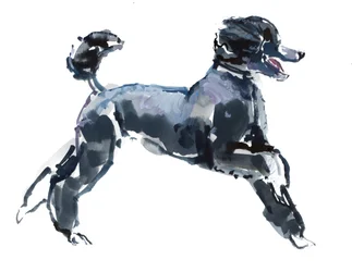 Sheer Class, 2013, (akvarell och gouache på papper)