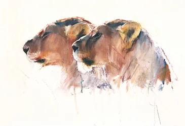 Sisters, Etosha, 2017