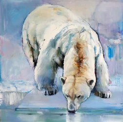 Snö, 2016