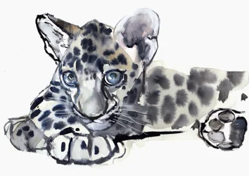 Spotty (arabisk leopardunge), 2008