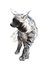 Hyaena-valp, 2010, (conté och pastell på papper)