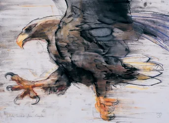 Talons - Havsörn, 2001 (charcoal und conte på papper)