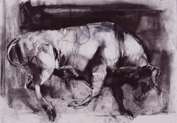 The White Bull (studie), 1998 (kol på papper)