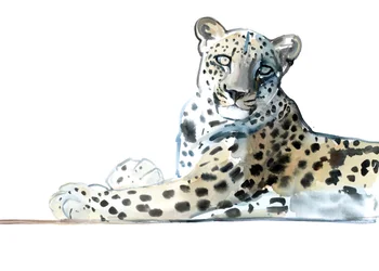 Tilt (arabisk leopard), 2015, (akvarell och gouache på papper)