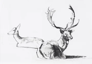 Oväntad höstsol (kol på papper)
