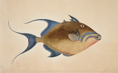 En fisk.