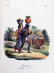 Herdar, 1828
