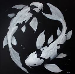 Yin Yang-koifisk