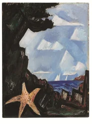 Havsutsikt - Sjöstjärna, New England