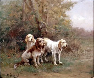 Otterhounds i ett landskap