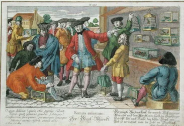 Fågelmarknad (färgad gravyr)