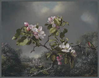 Äppelblom och kolibri, 1871