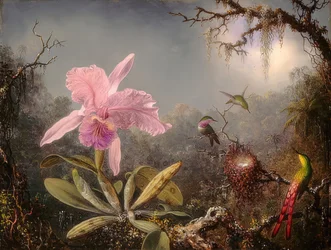 Cattleya orkidé och tre kolibrier. 1871