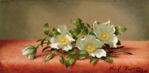 Cherokee Roses, 1889