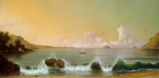 Rio de Janeirobukten, 1864.