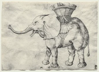 En elefant med Howdah