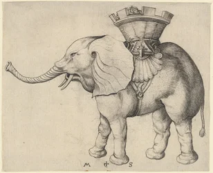 Elefant