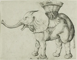 Elefanten