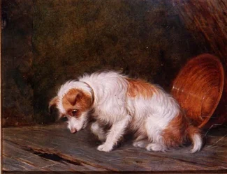 Väntar (bräda)