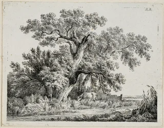 landskap