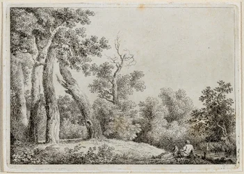 landskap