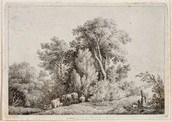 landskap
