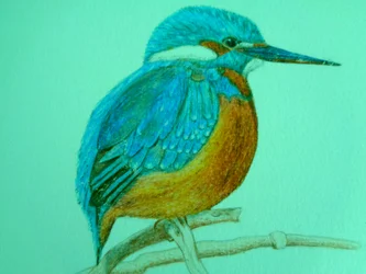 Fågel