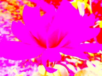 Rose digital konst