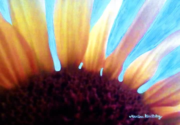 Solros och sommarhimmel