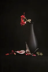Trasig vas med röda blommor