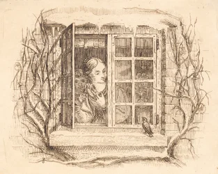 Illustration till "Halvhundra fabler för barn" av Hey