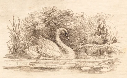 Illustration till "Halvhundra fabler för barn" av Hey