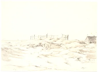 Dynlandskap, Skagen