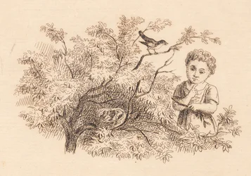 Illustration till "Halvhundra fabler för barn" av Hey