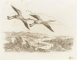 Illustration till "Halvhundra fabler för barn" av Hey