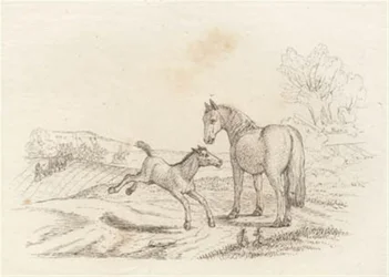 Illustration till "Halvhundra fabler för barn" av Hey