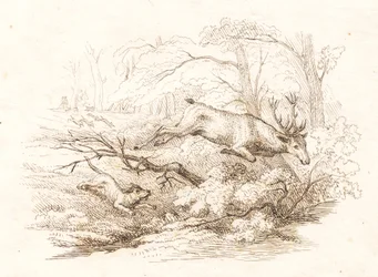 Illustration till "Halvhundra fabler för barn" av Hey