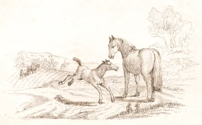 Illustration till "Halvhundra fabler för barn" av Hey
