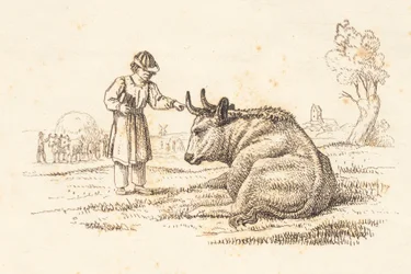 Illustration till "Halvhundra fabler för barn" av Hey