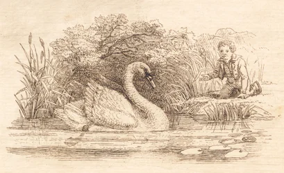 Illustration till "Halvhundra fabler för barn" av Hey