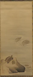 Sköldpaddor, Edo-perioden, 1700-talet.