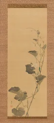 Kalebasblommor och skalbagge, tidigt 1800-tal.
