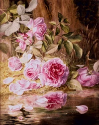 Blairie Roses (akvarell på papper)