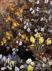 Vårblommor