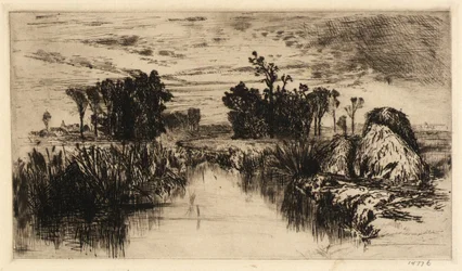 Cattails och träd