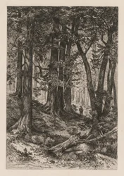 Interiör av en Kalifornienskog efter Thomas Moran American, 1837-1926,, 1888.