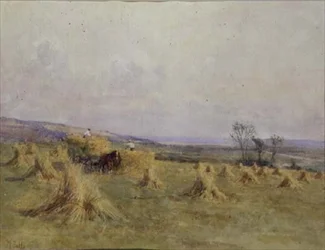 Skörd vid havet, Norfolk