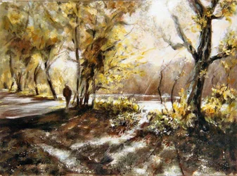 Går bredvid Rudyard sjön